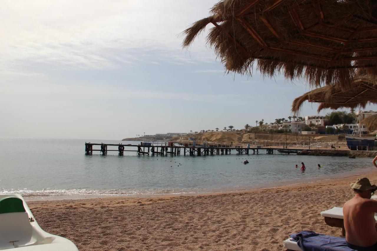 Sunshine Divers Club - Il Porto Sharm el-Sheikh Bagian luar foto
