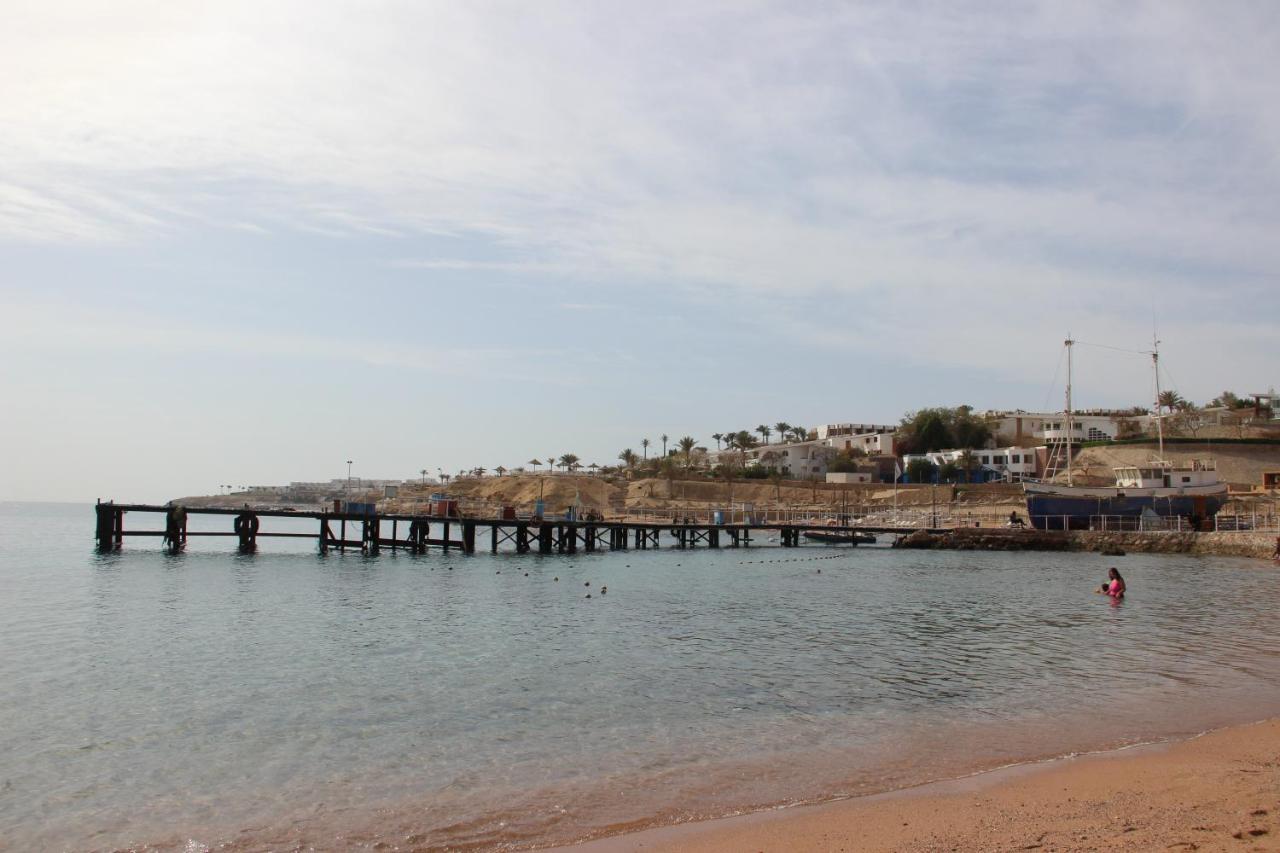Sunshine Divers Club - Il Porto Sharm el-Sheikh Bagian luar foto